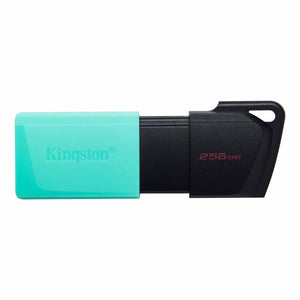 Pnedrive Kingston 256GB USB 3.2 Gen1  Exodia M Negro/verde