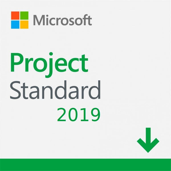 Project Standard 2019 Descargable Perpetuo (Producto Digital)